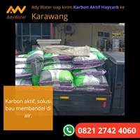 Filter Air - Norit Activated Carbon