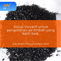 Filter Air - Karbon Aktif Norit RB3W Pellet