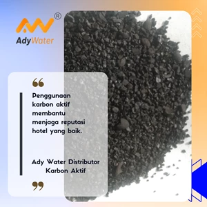 Filter Air - Karbon Aktif Aquarium Bengkulu
