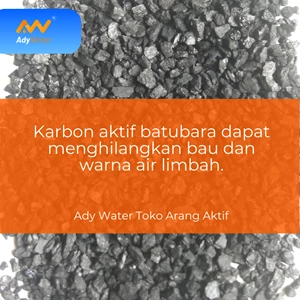 Filter Air - Karbon Aktif Aquarium Bandar Lampung