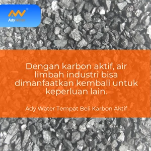 Perbedaan Karbon Aktif dan Pasir Aktif dalam Filter Air